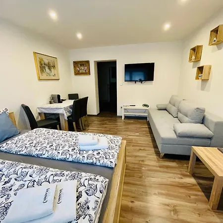 Apartament Cajkovskij Brno-jih Brno