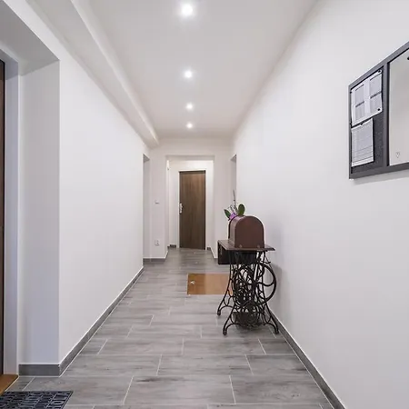 Daire Cajkovskij Brno-jih Brno