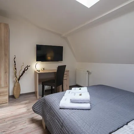 Cajkovskij Brno-jih Apartament