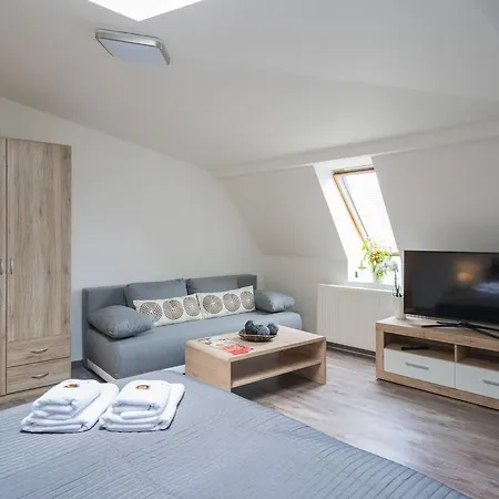 Apartment Cajkovskij Brno-jih Brno