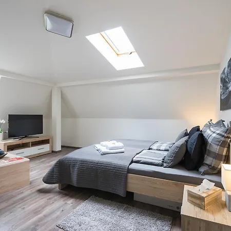 Cajkovskij Brno-jih Apartament Brno