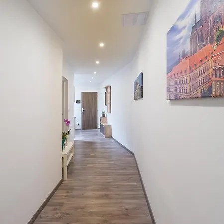 Cajkovskij Brno-jih * Брно